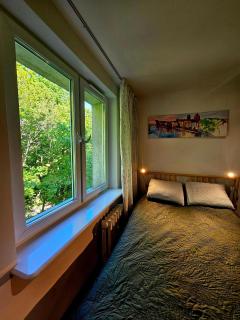 Art Mikro Studio - Skorka - 9