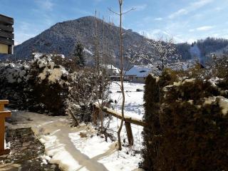 Beautiful 2 bedroom with south-facing garden - Ancelle - 4