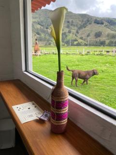 Finca Castillo de Altura - 1