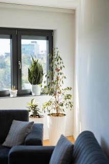 Dukagjini Home - Pristina - 9