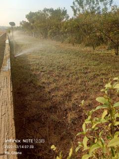 BeautyByNature Estate by "Khadija&Family", limited number of only 2 private rooms, homemade vegetarian dishes in a wonderful setting, - Wa - 4