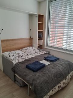 Modern flat with Rooftop Terrace - Prague - 7