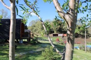 Quinta Da Devesa B1 - Vinhais - 6