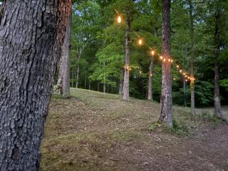 Newly Listed-Private 25-Acre Escape Near Red River Gorge - Beattyville - 6