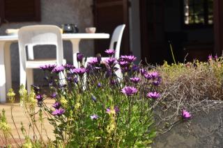 Petite maison provençale pour 4 personnes - Bormes-les-Mimosas - 8