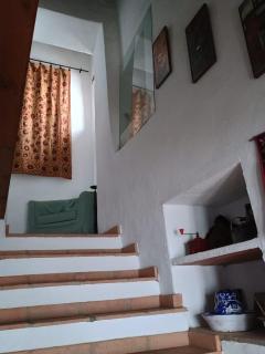 Casa La Pascuala, bosque encantado de Parauta - 4