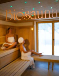 Apart Hotel Garni Strasser - Zell am Ziller - 7