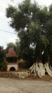 POROS BEACH camping- studios - 1