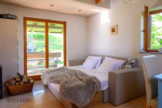 Vineyard Cottage Klemencic - Novo Mesto - 3