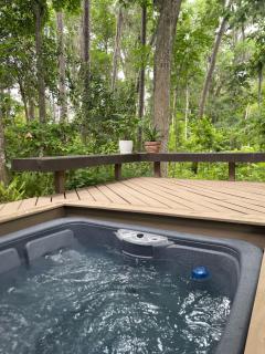 TreeTops Spacious Architectural Retreat - Gainesville - 9