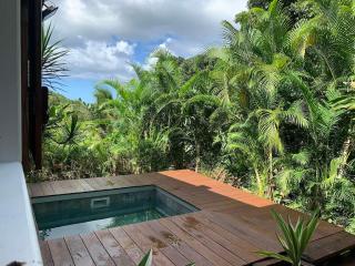 Cottage Ô Cœur de Bel Hâlé - Sainte-Rose - 9