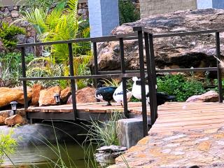 Gwango Tamarillo Estate - Bulawayo - 1