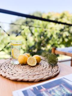 Tropical Garden Faliraki Rhodes - 3