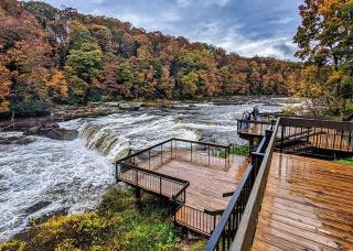 Laurel Highlands Adventure Oasis - 5