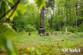 Renard de Charlevoix - detente en foret avec spa - Petite-Rivière-Saint-François - 8