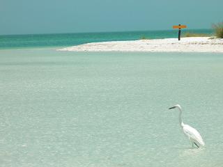 Casa Punta Coco & Beach Club - Isola Holbox - 5