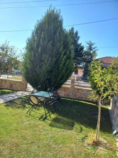 Vasiliki's house - Luxurious studio - 1