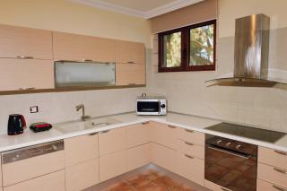 Seaside "Stone & Light Villa" close to Aegina City - 2