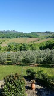 Holiday House Le Selvole - Radda in Chianti - 7