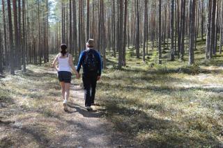 Fulufjellet nationalpark Lodge - Fulufjellets national parks - This is the place where Norway and Sweden meet in a large protected area - 3