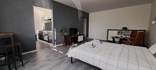 One-room apartment-around Bojnice - Prievidza - 8