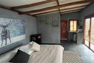 Casa Lili - Floridablanca - 8