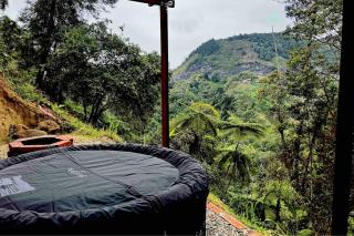 Casa Lili - Floridablanca - 4
