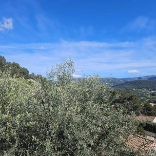 Le Micocoulier - Auriol - 8