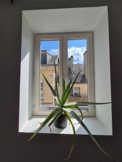 Appartement au cœur de Rouen pour 10 personnes - Rouen - 2