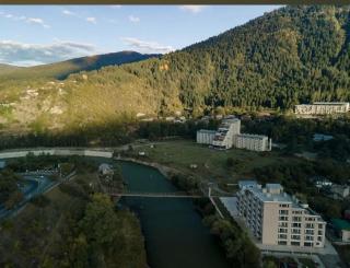 Borjomi house Robakidzis 5g Borjomis national park Borjomis cultural monuments - Borjomi - 1
