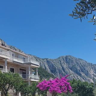 Apartments Oliva - Podgora - 9