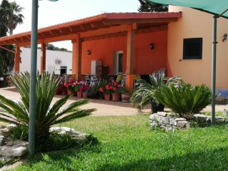 Agriturismo Il Pavone - Torre Lapillo - 0