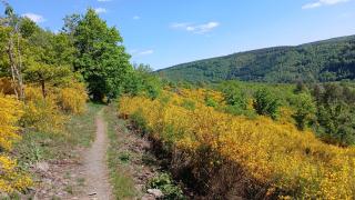 L’Abri - La-Roche-en-Ardenne - 5