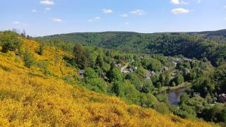 L’Abri - La-Roche-en-Ardenne - 6
