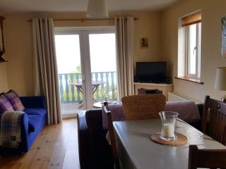 Dolphinwatch House Comfortable holiday residence - Renvyle - 4