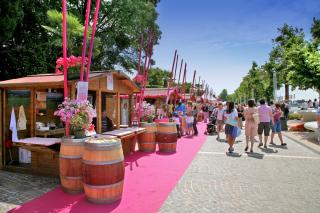 Appartamento Antonio - Bardolino - 1