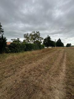 Quiet house near Bordeaux - Beautiran - 4