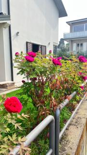 Ai Fiori - Peschiera del Garda - 6