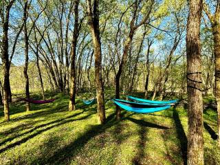 Three Suns Full Rental | 8 Cabins | Views | River - 6