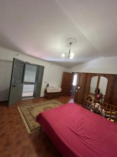 Mehilli guesthouse - - 7