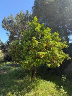 Apartment Bastide, Cannes - Cannes - 7