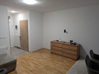 Forest Appartment - Slovenske Konjice - 8