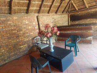 American horses - Pretoria - 4