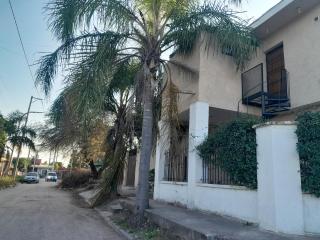 Departamento de los pájaros - Córdoba - 4