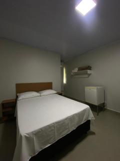 Executive Hotel Aguas lindas GO - Macacos - 8