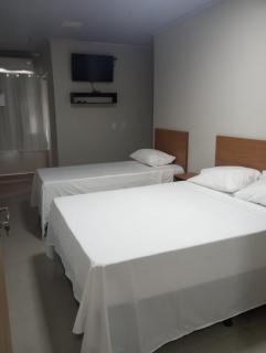 Executive Hotel Aguas lindas GO - Macacos - 7