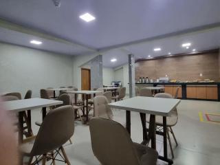 Executive Hotel Aguas lindas GO - Macacos - 1