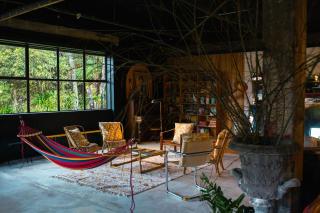 Wild Forest Estate - Donnellys Crossing - 6
