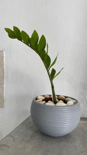 Family-friendly and cozy atmosphere - Boa Vista - 9