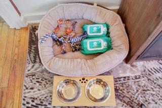 Spring Serenity Chic 1BR Apt Walk to UofA - Tucson - 8